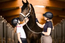AIRLUXE PURE Short Visor