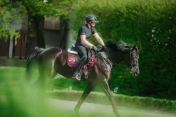 AIRLUXE SUPREME GLAM Long Visor