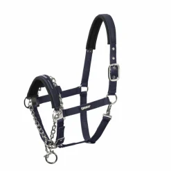 CONTROL PIN BUCKLE