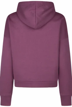 HOOD SPARKLE
