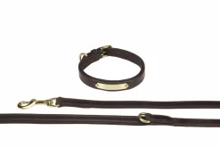 Hunde Set Echtleder