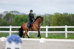PIKEUR NEW LUGANA FlexTec Leather