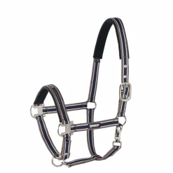 PIN BUCKLE