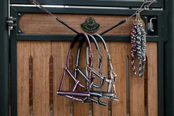 PIN BUCKLE