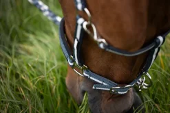 PIN BUCKLE