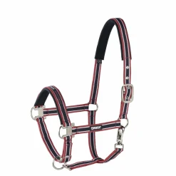 PIN BUCKLE