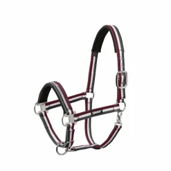 PIN BUCKLE