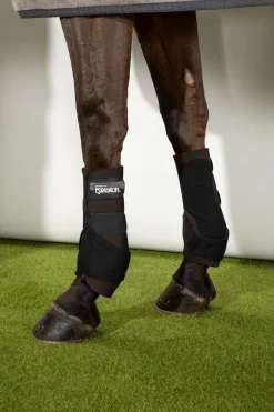 PRO ACTIVE F