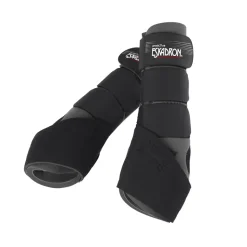 PRO ACTIVE H