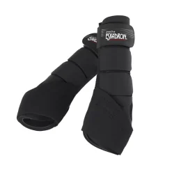 PRO ACTIVE H