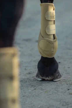 PRO DRESSAGE FRONT
