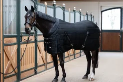 SIGMA STABLE 220