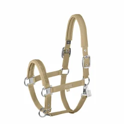 SOFTSHELL JEWEL DOUBLE PIN